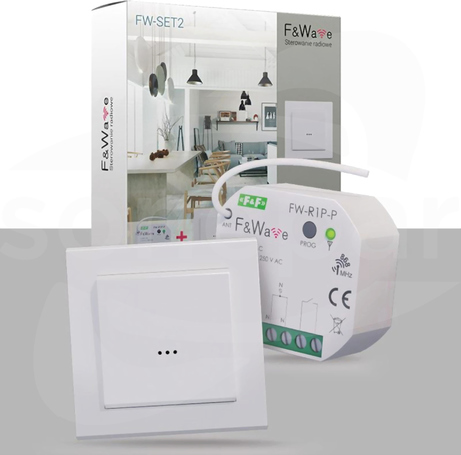 FW-R1P-P + FW-WSO2 Zestaw programowalny