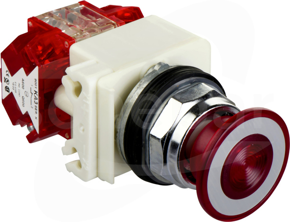 9001KR9P35RH25 600VAC 10A 30mm T\K Przycisk