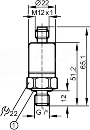 PT-016-SBG14-A-ZVG/US/W Czujnik ciśnienia