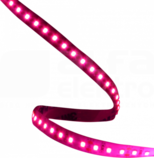 STRIP-600L-2835-N WD-BRIGHT-PINK 7,3W/0,5m Pasek LED 5m/10mm 12V (G)