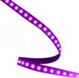 STRIP-600L-2835-N WD-VIOLET Pasek LED 5m/08mm 12V (G)