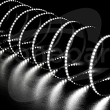 ORO-STRIP-800L-SMD-NWD-CCT-SET 17.5W/5m 450lm/m Pasel LED 5m/08mm (F)