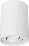 CHLOE GU10 IP20 okrągła biały Downlight LED natynkowy regulowany