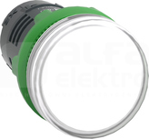 XB5EVG1 120V biały Wskaźnik napięcia