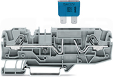 2006-1681 6mm2 szara Złączka 2-przewodowa bezpiecznikowa