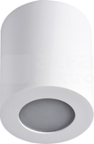 SANI IP44 DSO-W Oprawa sufitowa punktowa
