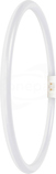 LED T5 FC40/55 EXT P 21.5W 840 2GX13 3200lm Tuba LED kołowa 300mm (D)