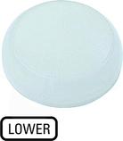 M22-XL-W-GB18 Soczewka do lampek