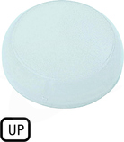 M22-XL-W-GB3 Soczewka do lampek