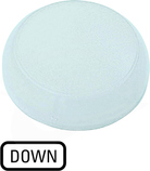 M22-XL-W-GB4 Soczewka do lampek