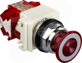 9001KR9P35RH25 600VAC 10A 30mm T\K Przycisk