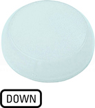 M22-XL-W-GB4 Soczewka do lampek