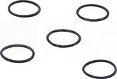 O-RG 24,00x2,00/EPDM (5szt) O-ring