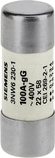 SENTRON 22x58 mm 100 A gG 500VAC Wkładka bezpiecznikowa
