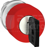 ZB4BS934*ODRYGL.KLUCZ.,30 MM NAPED PRZYC.DLON.Z ZATRZASKI