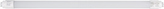 T8 LED GLASSv3 24W/865 3360lm Tuba LED 1,5m (D)
