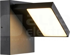 ABRIDOR 3000/4000K IP55 antracyt Oprawa LED