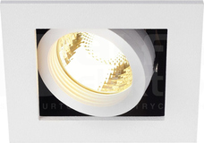 KADUX 1x50W GU10 Downlight biały mat