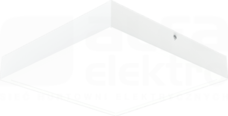 LIGHT STEP NT 15W/840 1700lm DALI IP44 biały Oprawa LED natynkowa 300x300