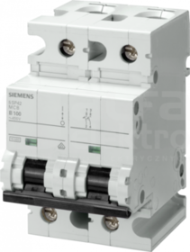 5SP42806 2P B80A WYŁĄCZNIK NADPRĄDOWY 10kA