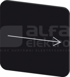 SIRIUS ACT 22x22mm czarny Strzał.w pra Etykieta samoprzylepna