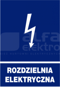 148x210 "ROZDZIELNIA ELEKTRYCZNA" Znak elektryczny informacyjny
