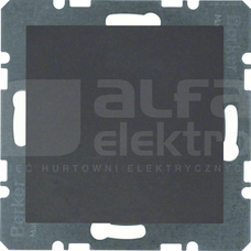 B.1/B.3/B.7 GLAS antracyt Zaślepka z elementem centr.