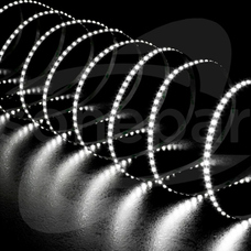 ORO-STRIP-800L-SMD-NWD-CCT-SET 17.5W/5m 450lm/m Pasel LED 5m/08mm (F)