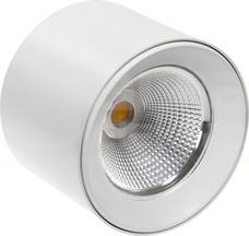 CEL ZOSMA 2 ROUND 19W/830 230V 40st biały Oprawa LED