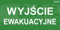 PS21 125x250 zielony/biały Piktogram średni wyjście ewakuacyjne