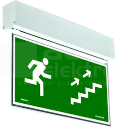 SCREEN BASIC DS10-H1,2TC3N IP40 Oprawa LED awaryjna
