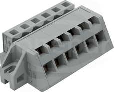 731-506/031-000 WIELOWTYK GNIAZDO 6-TOR