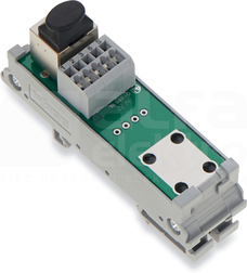 289-174 Moduł przejściowy Ethernet