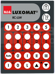RC-LLW Pilot zdalnego sterowania