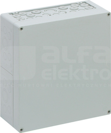 AKL 2-G 300x300x132 IP65 Obudowa pusta
