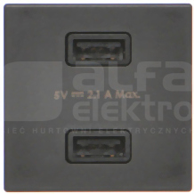 CONNECT grafitowy Ładowarka USB podwójna