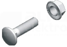 SGK M6x20 (100szt) Śruba grzybk+nakrętka ząbk.