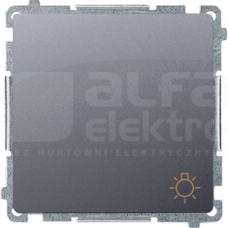 BASIC/M srebrny mat Przycisk światło