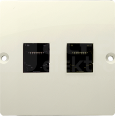 BASIC/M RJ45+RJ11 beżowy Gniazdo komputerowe/telefoniczne