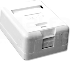 DC/FA-851AK-18-C5E Gniazdo natynkowe UTP 1xRJ45