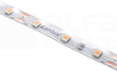 L60 11W/m 12 WW IP65 Pasek LED (G)