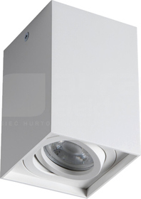 GORD XS DLP-50-W Oprawa sufitowa