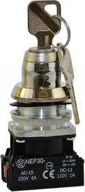 NEF30-TZAM 2Y metalowy Przycisk pokrętny z zamkiem