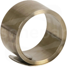 919031 SA KRF 10 V2A Sprężynka rolkowa ekr.kablow