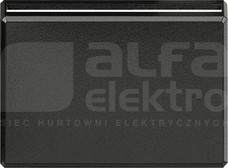 AXOLUTE 2M antracyt Plakietka łącznika hotelowego