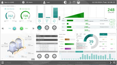 EOTE Web Viewer Runtime 100 licencji E Oprogramowanie