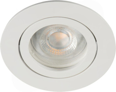 DALLA DTO-W Oprawa punktowa ruchoma