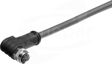 SAIL-M8BW-4S30U Wtyk z kablem kątowy żeński