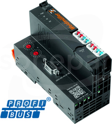 UR20-FBC-PB-DP-V2 Moduł komunikacyjny