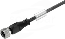 SAIL-M12BG-5-3,0U Wtyk z kablem prosty żeński